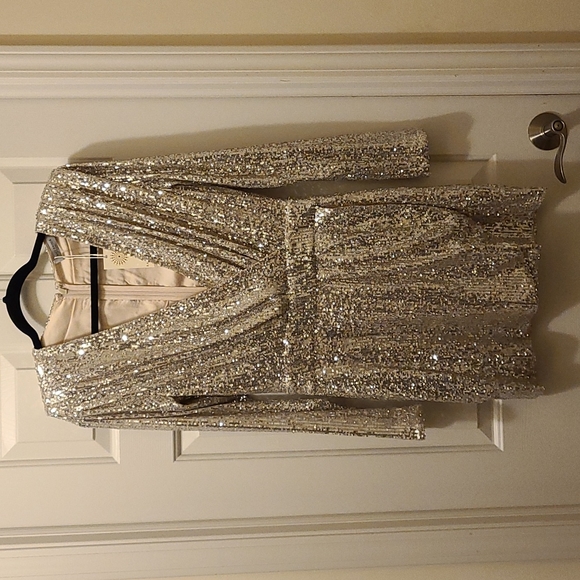 RAMY Brook Becky Sequin Dress Size 10 - Picture 2 of 6